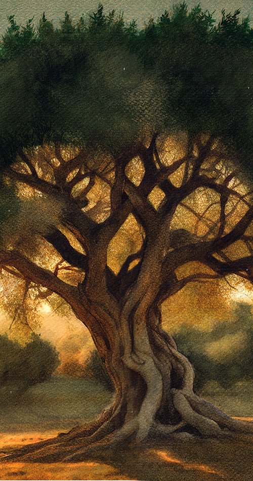 Olive Tree by REME Jr.