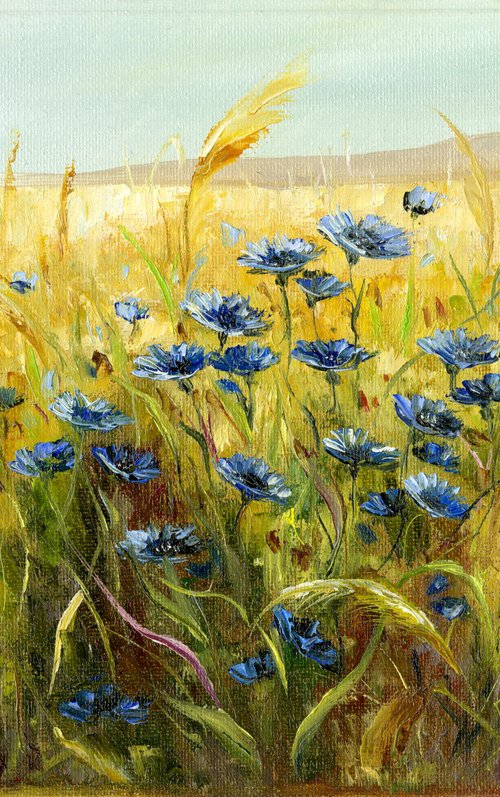 Cornflowers in the field by VICTO