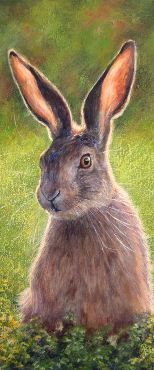 Clover (Hare) by Ruth  Aslett