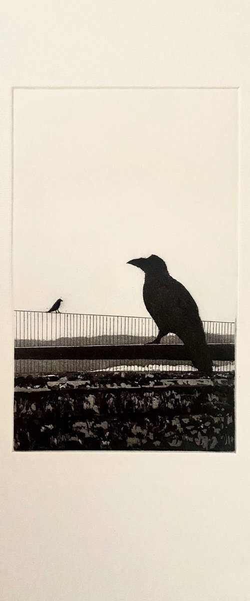 Crows by Mario Sánchez