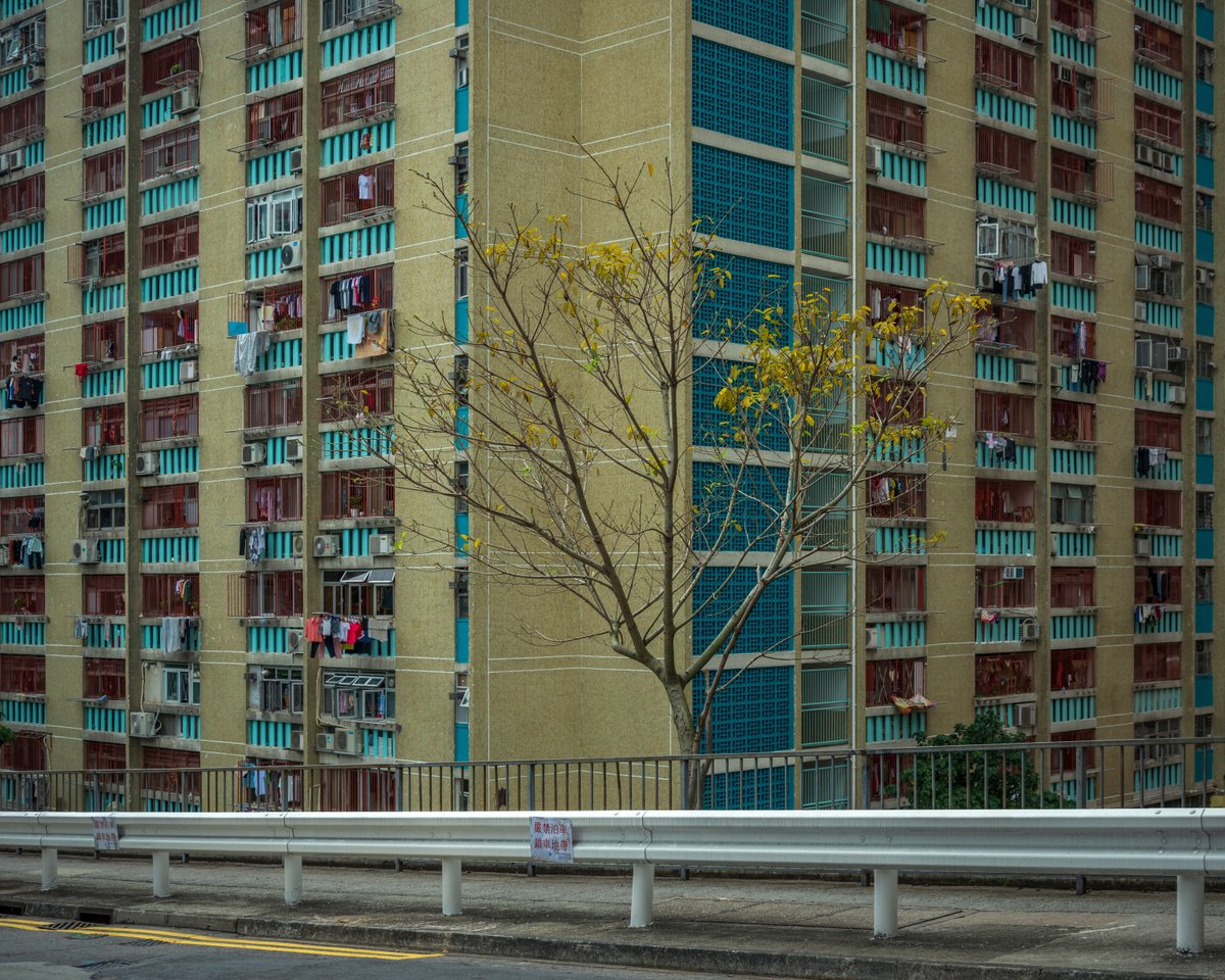 Concrete Jungle Autumn II by Serge Horta