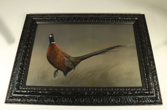 Pheasant, Animal Painting, Bird Artwork, Framed Art, Garden Animals, Original not Print, Gun Dog, Hunting