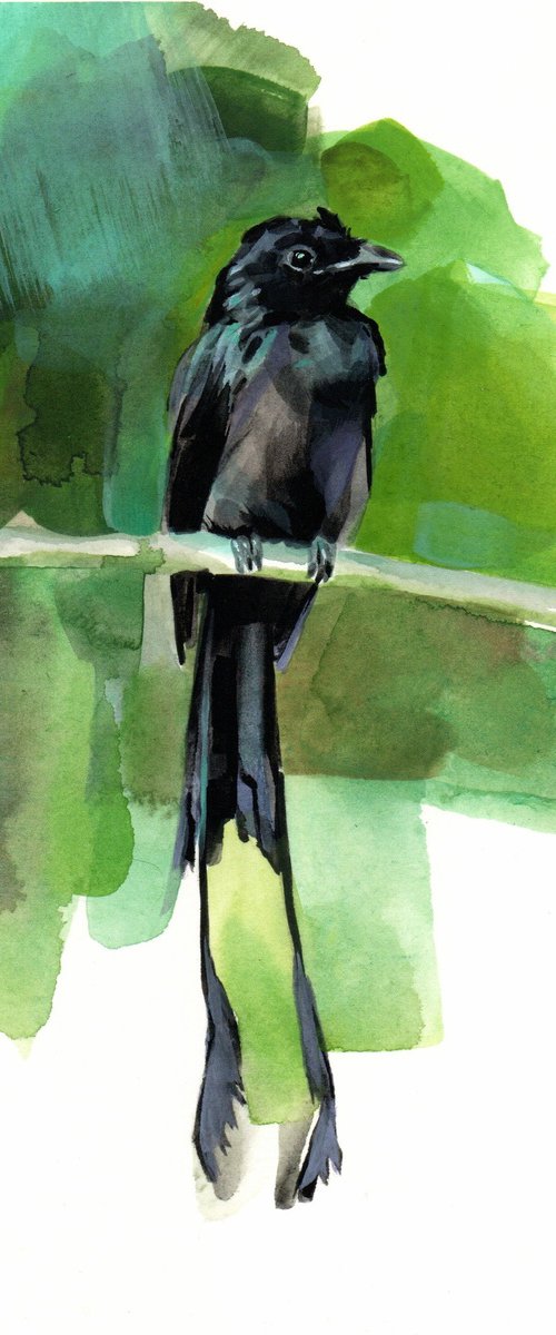 Bird by Kateryna Somyk