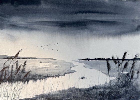 rainclouds marshes geese