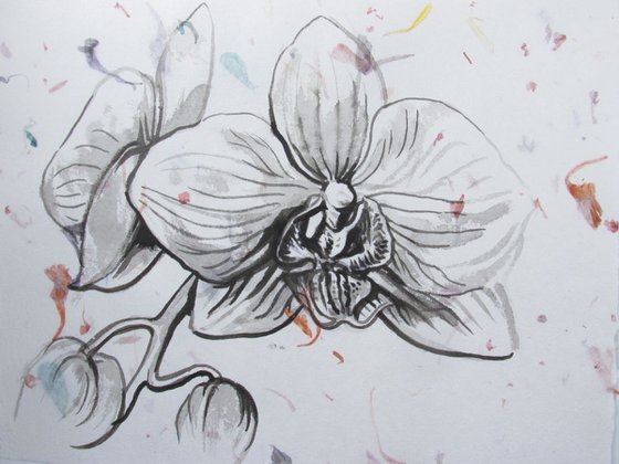 orchid ink drawing on hand made flower paper