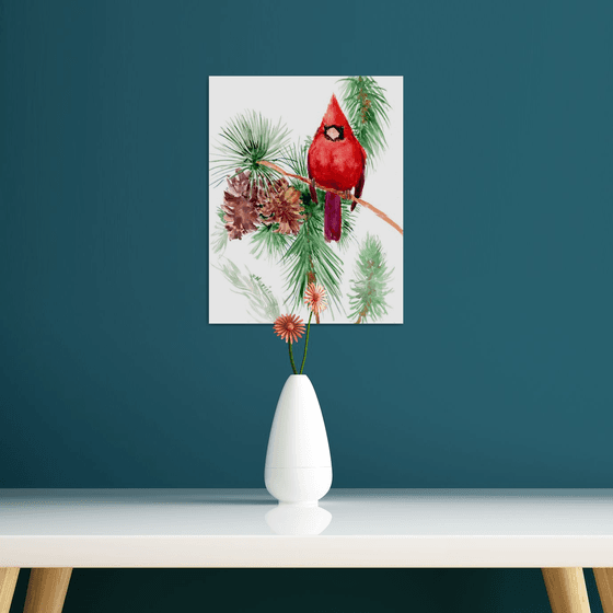 Red Cardinal And Pine Tree