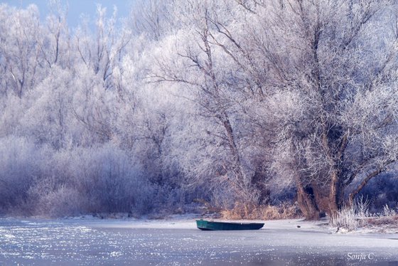 Dreamy winter silence