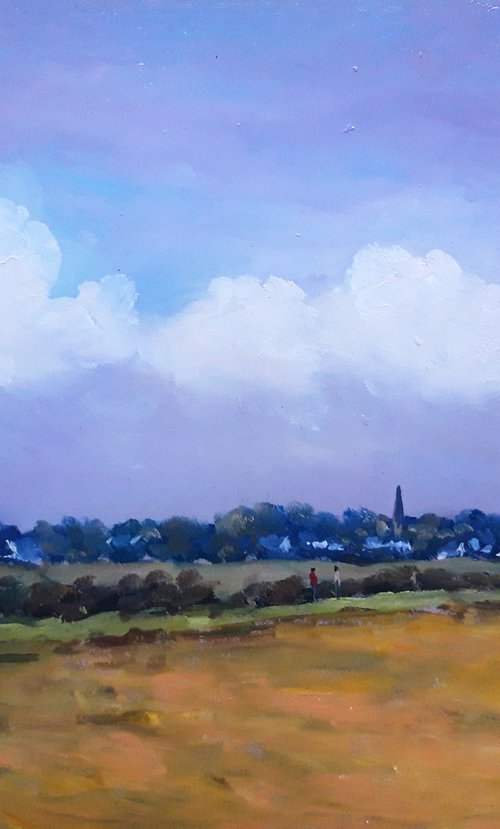Marsh at Saint Armel by José DAOUDAL