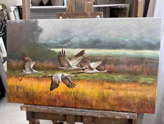 Warm rain through sunlight