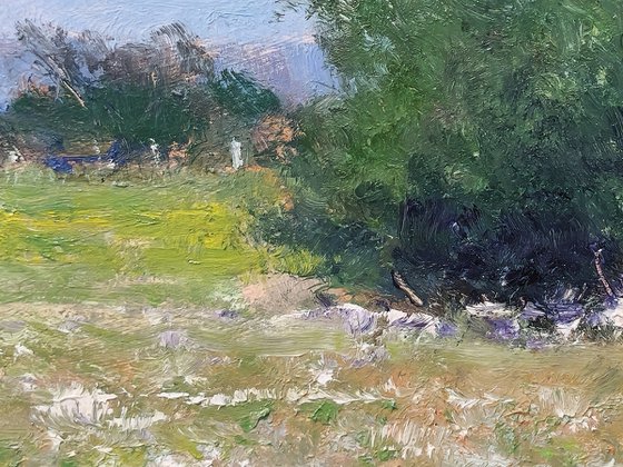 Meadow in Provence