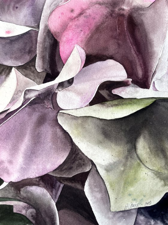 Hydrangea Bouquet