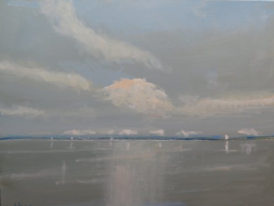 From the Inner Farne