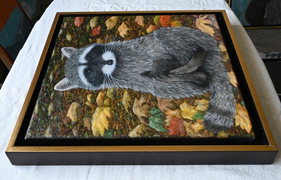 Raccoon