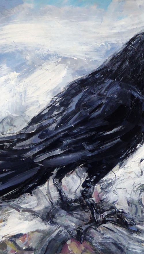 Raven, Highgate 2 by John Sharp
