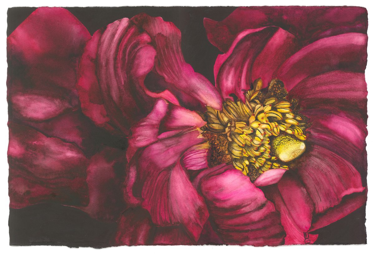 Surrealistic Botanical Watercolour By Mary Lyn Gough, 15 X 22", Spring Unveiling, Original Artwork