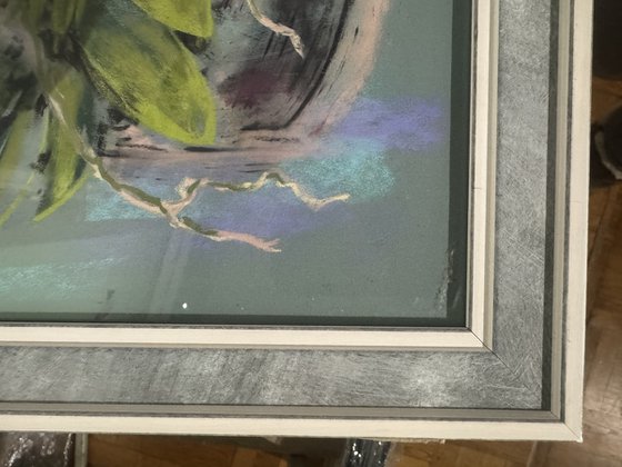 Set of 2 Pastel Wild orchids