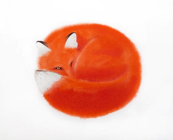 Red Fox Curls Up for a Nap #1