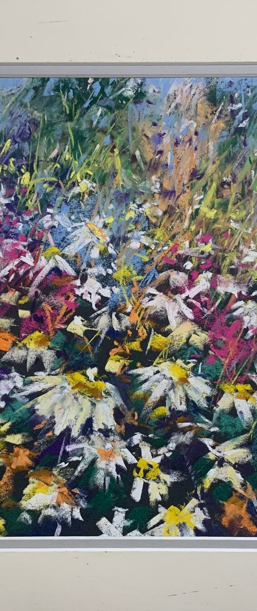 Bright Border by Andrew Moodie