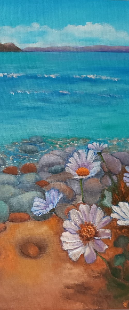 Sea, Rocks and Daisies by Maureen Greenwood
