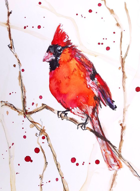 "Northern Cardinal"