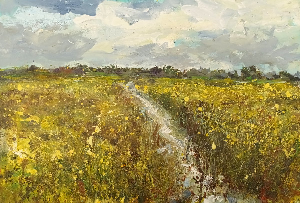 Arkemheen polder landscapes 1 by Wim van de Wege