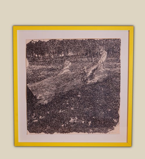 Study of a cut down tree (II) by Fausto Bini