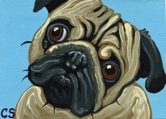 ACEO ATC Original Miniature Painting Fawn Pug Pet Dog Art-Carla Smale