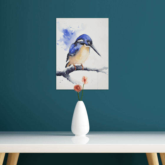 Kingfisher III