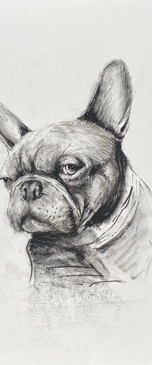 Gangsta Frenchie… by Paul Mitchell