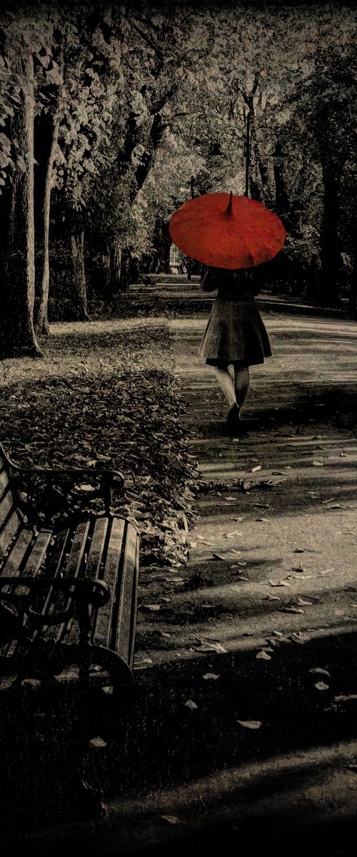 Girl with the Red Brolly by Martin  Fry