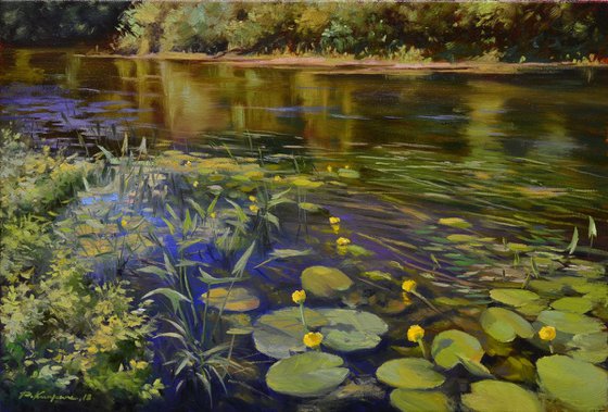 The kingdom of water lilies 40x60cm