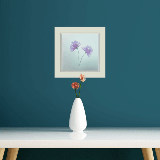Flowers 17