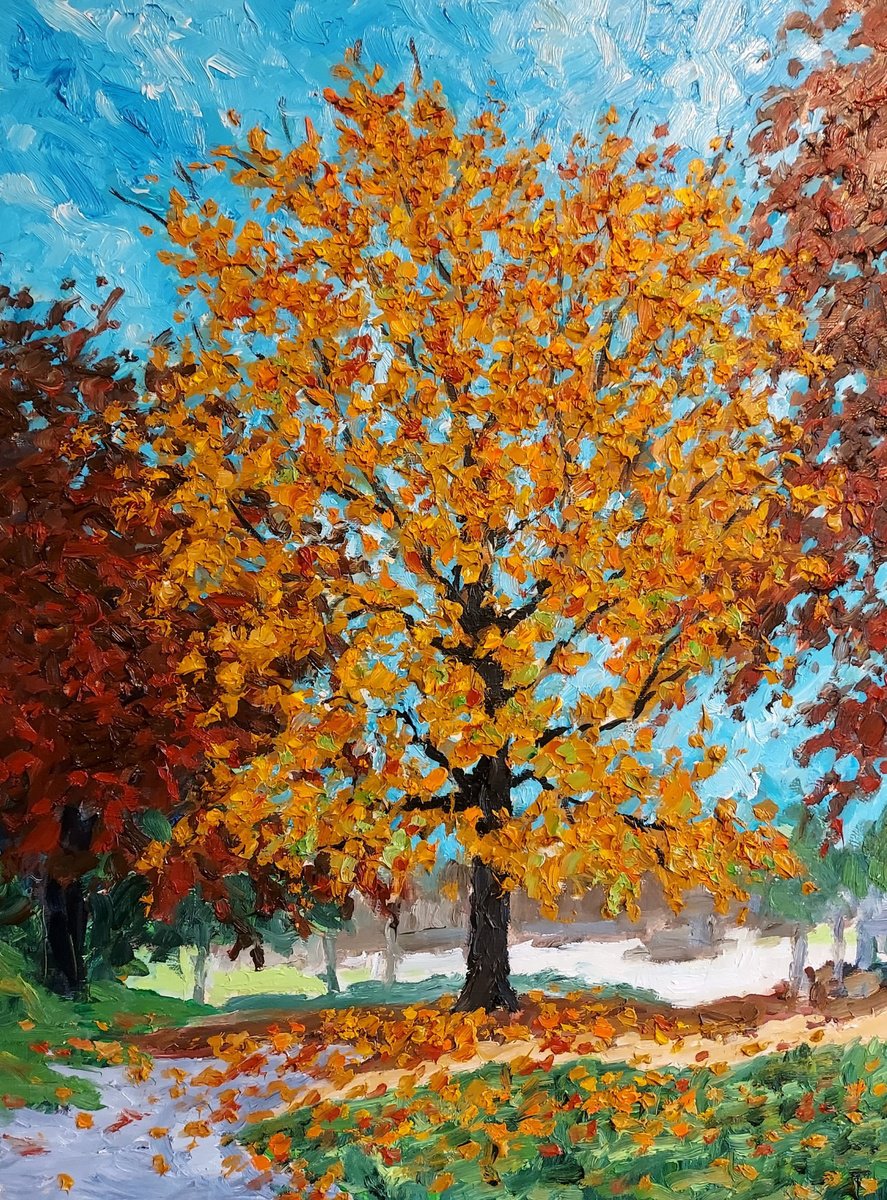 autumn tree #1 by Colin Ross Jack