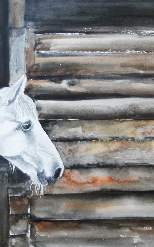 WHITE HORSE by Zoran Mihajlović Muza