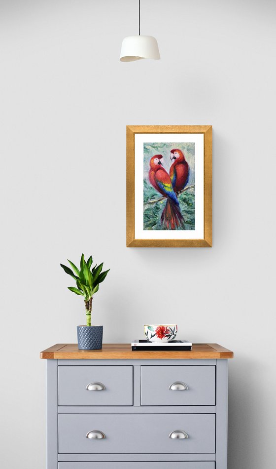 A pair of macaw parrots