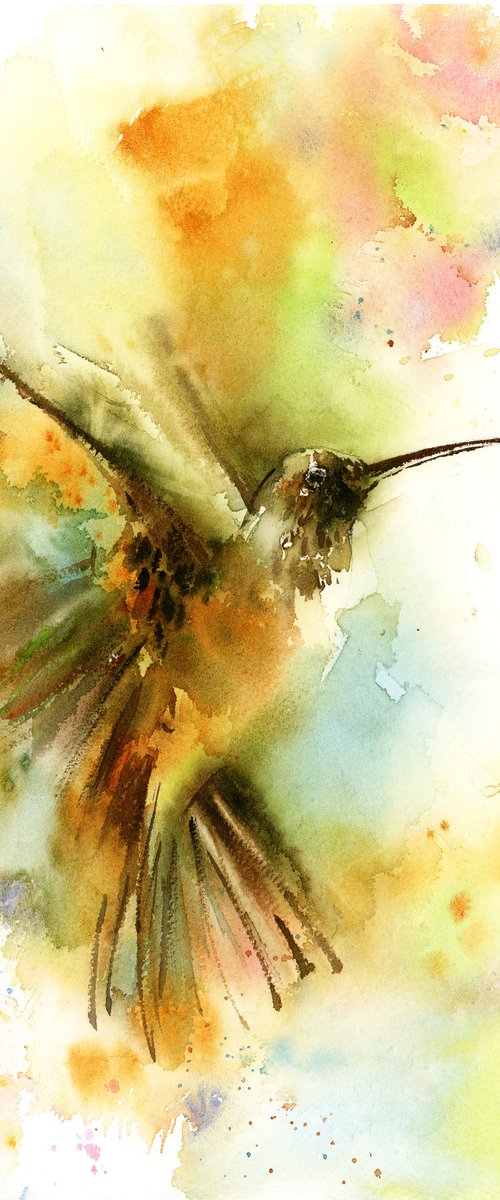 Hummingbird by Sophie Rodionov