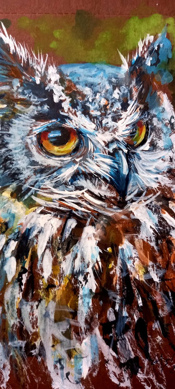 Owl portrait