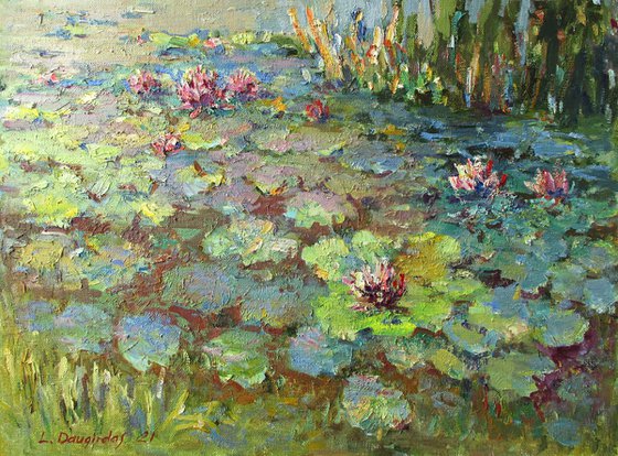 Water Lilies in autumn pond
