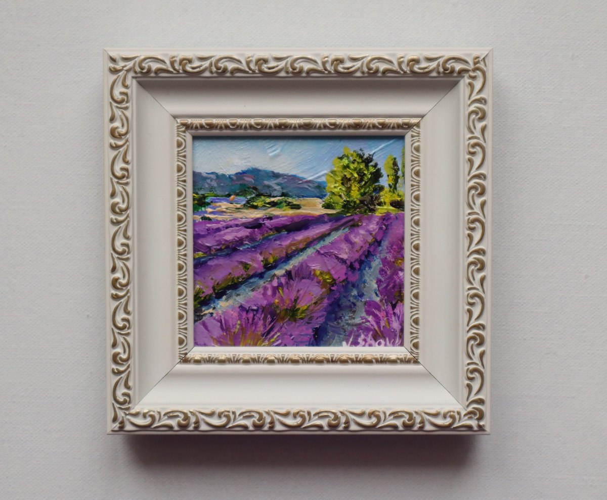 Lavender Fields by Natalia Shaykina
