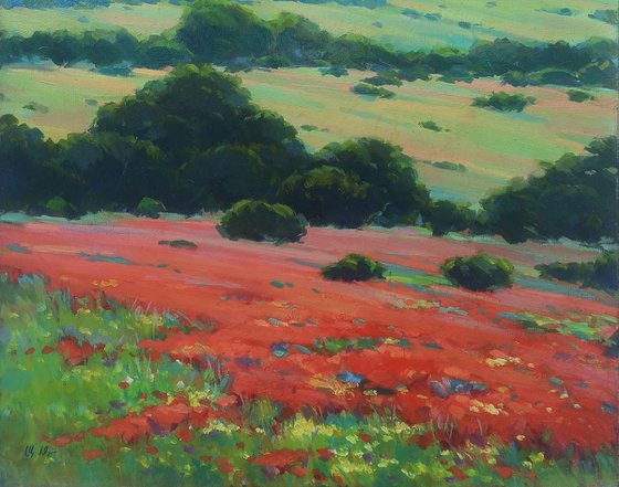 Poppies and Peace