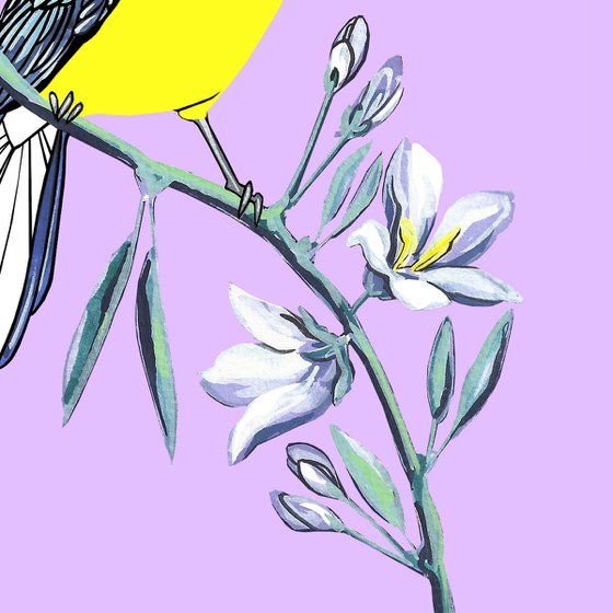 Blue Tit and Bellflower (print)