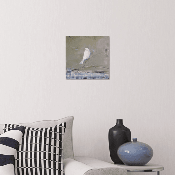 White, White Dove
