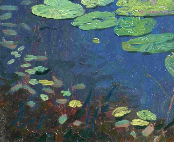 Water Lilies