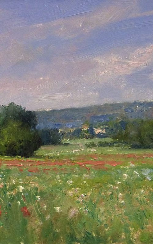 Field with Poppies in the Luberon by Pascal Giroud