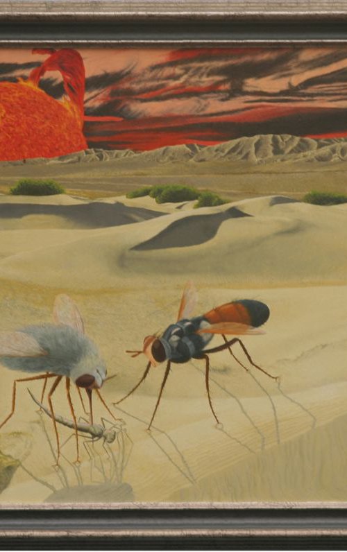 Insects in the dessert by Niek Haenen