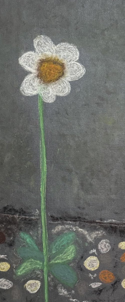 DAZY DAY by Andrew Lennon