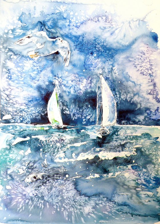 Sailboats with seagul