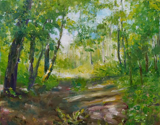 Road in the forest