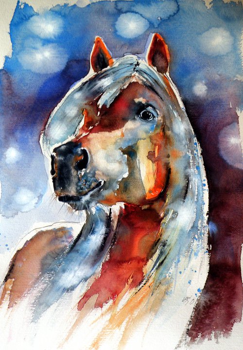 Horse portrait by Kovács Anna Brigitta