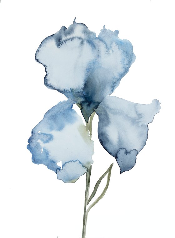 Iris No. 130